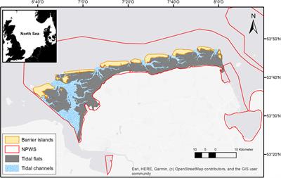 Long-term response of coastal macrofauna communities to de-eutrophication and sea level rise mediated habitat changes (1980s versus 2018)